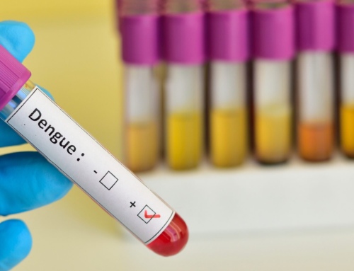 Dengue awareness: a critical front in the fight against AMR and infectious diseases